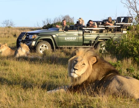Kariega River Lodge