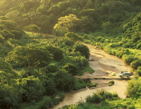 Rhino Ridge Safari Lodge