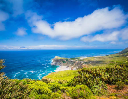 Cape Peninsula - Family