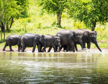 Sri Lanka with Kids