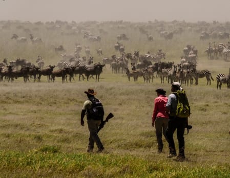 Walk with the Great Migration