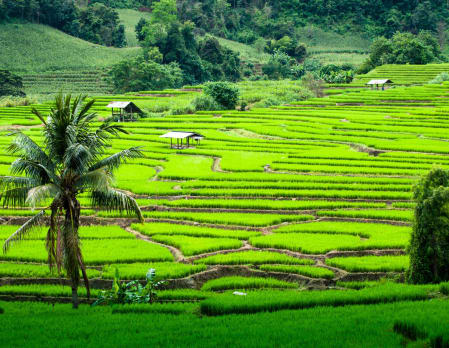 Cycling Wiang Khum Kham to Ban Tawai