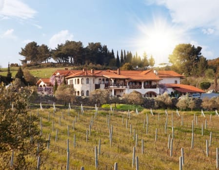 Yedi Bilgeler Winery Hotel