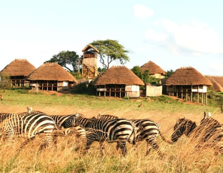 Apoka Lodge