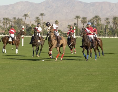 Learn to Play Polo in Dubai