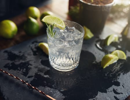 Gin experience at Hound Lodge