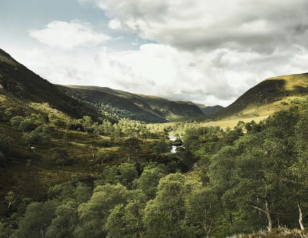 Ranger guided walk at Alladale