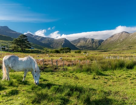 Highlights of Scotland and Ireland