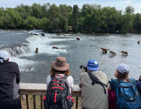 Bear Viewing Excursions at Stillpoint Lodge