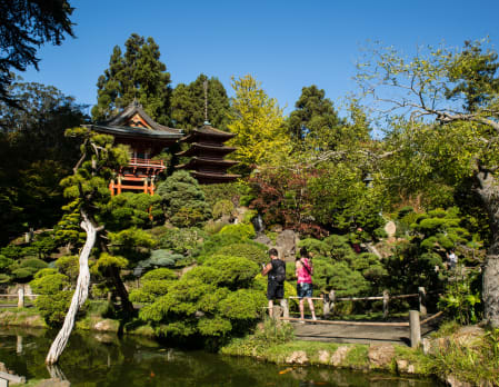 Family-Friendly Golden Gate Park Bike Tour