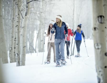 Guided snowshoe and wine tour, Beaver Creek