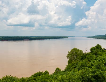 Mississippi River Eco Safari Natchez