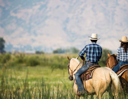 Perfect Pairings: Jackson Hole & Yellowstone