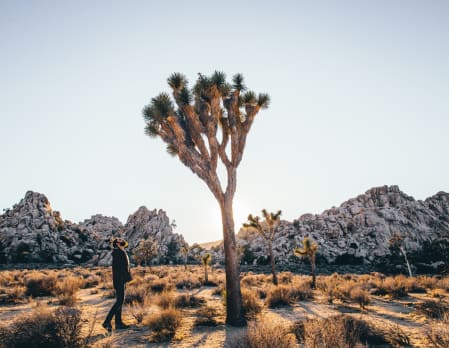 Perfect Pairings: San Diego & Palm Springs
