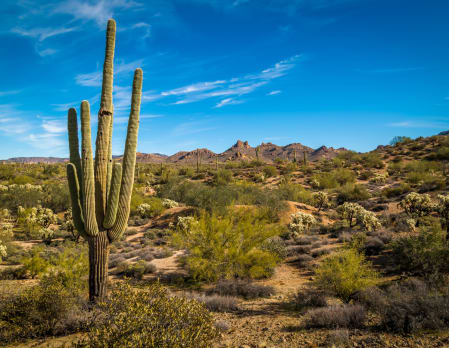 Ultimate Southwest and Southern California