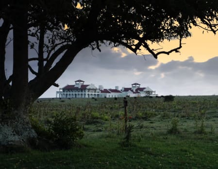 Estancia Vik