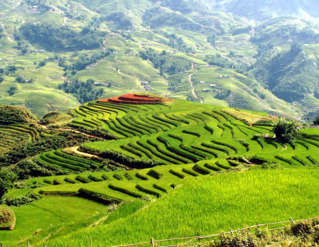 Ban Ho Village Tour and Trek