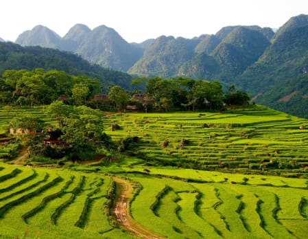 Pu Luong Trekking from Mai Chau