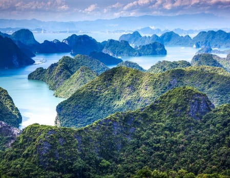 Vietnam Uncovered