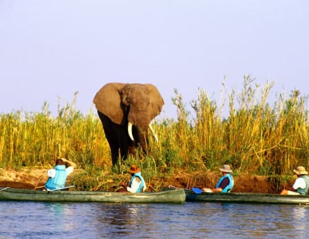Canoeing on the Zambezi River