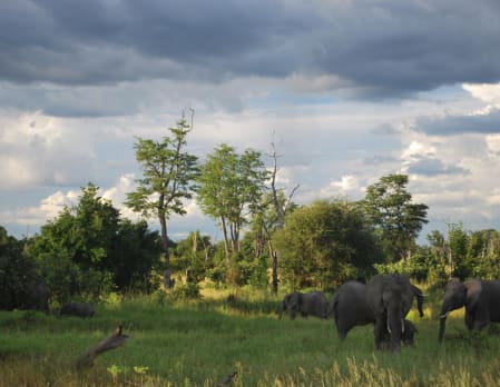Green Season Game Drives