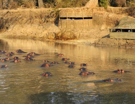 Kaingo Kids family safari experience