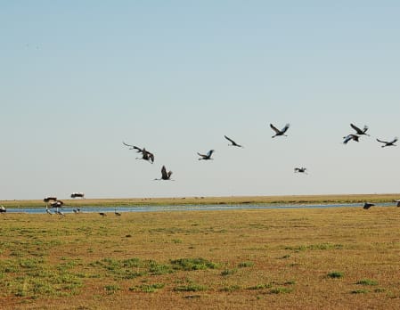 Robin Pope Safaris Liuwa Plain