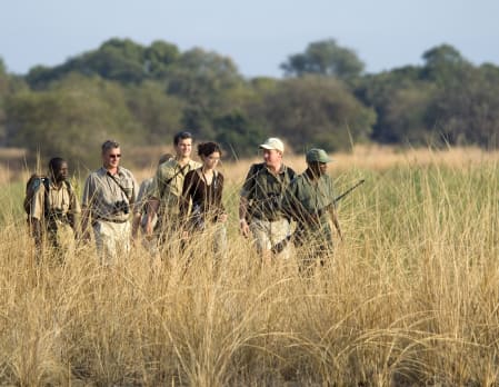 Zambia Walking Safari