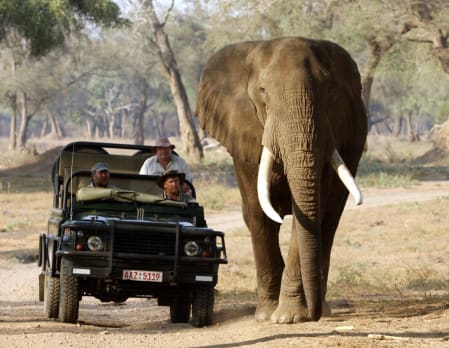 Goliath Safari Camp