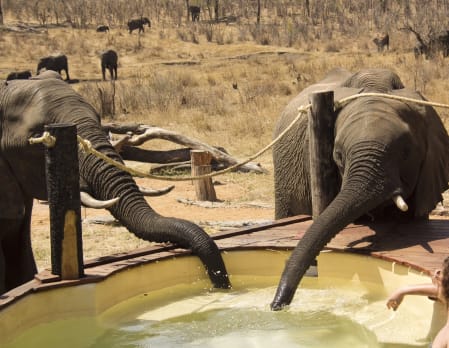 Khulu Bush Camp
