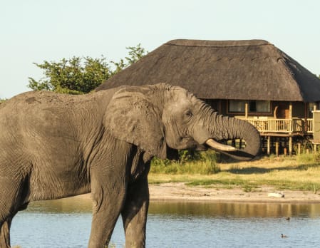 Nehimba Lodge
