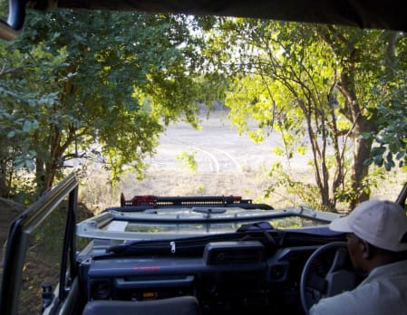 Game Drives in Hwange National Park