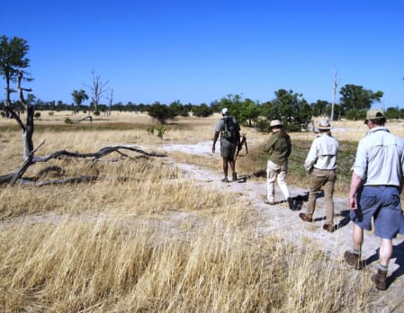 Walking Safari