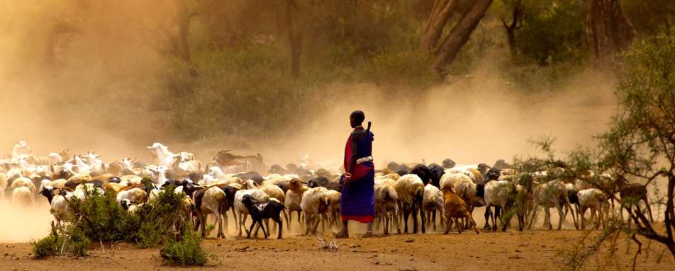 Big Five Cultural Experiences