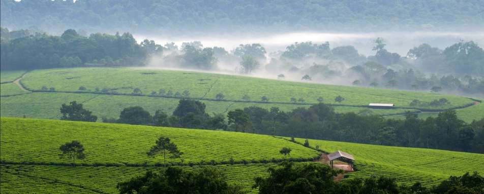 Eco-Friendly Holidays