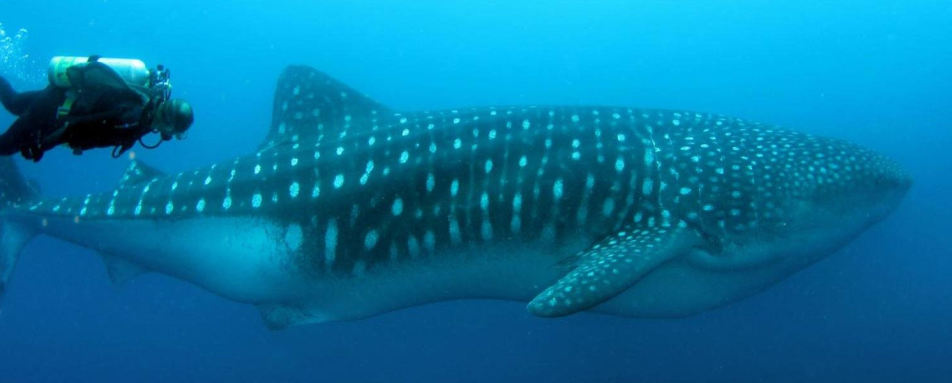 Learning experiences