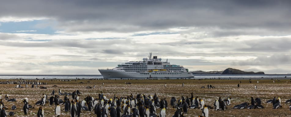Exterior with penguins 