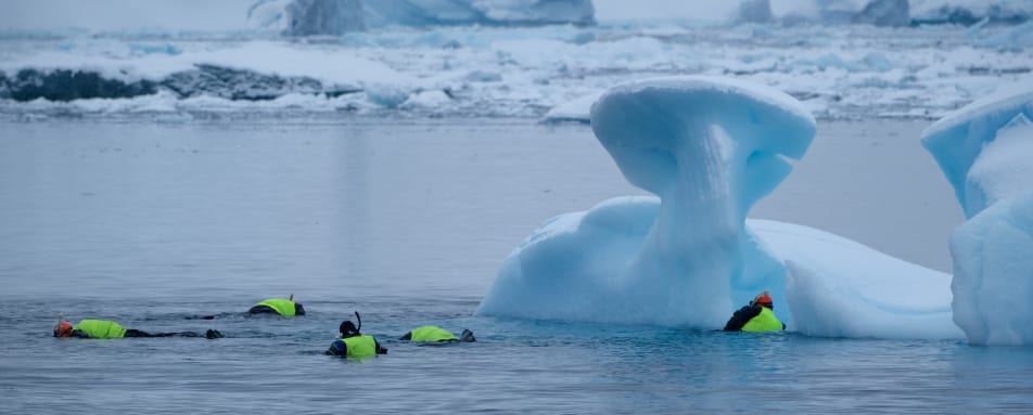 Snorkelling at Portal Point 