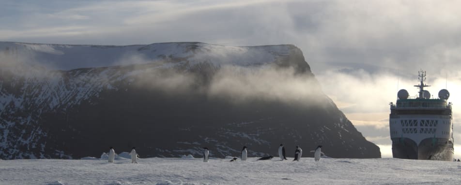 Penguins and Sylvia Earle 