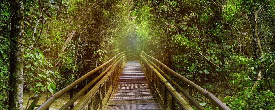 Jungle boardwalks - Awasi Iguazu