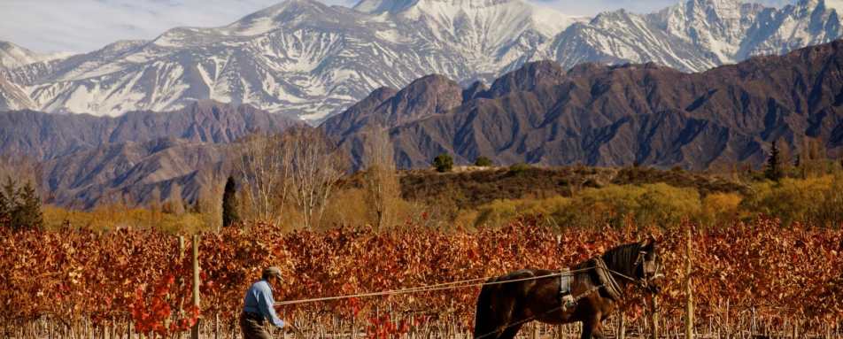 Scenery - Entre Cielos