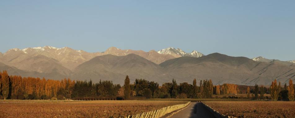 Local Attractions - Entre Cielos