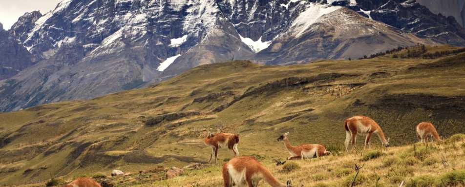 Southern Patagonian landscapes   