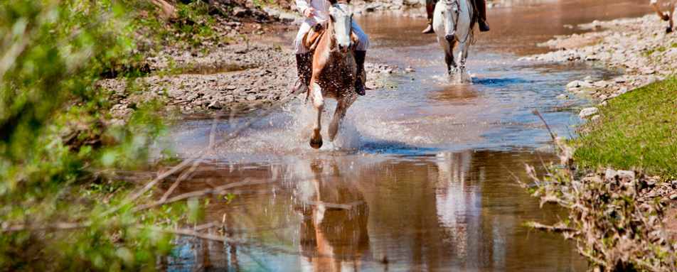 Horse riding - Estancia El Colibri