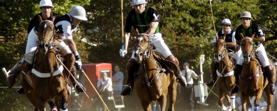 Polo match 