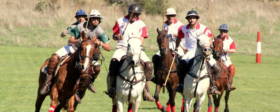 Polo - Estancia Los Potreros