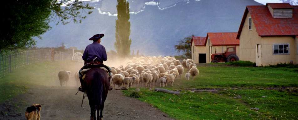 Gaucho at work - Estancia Nibepo Aike