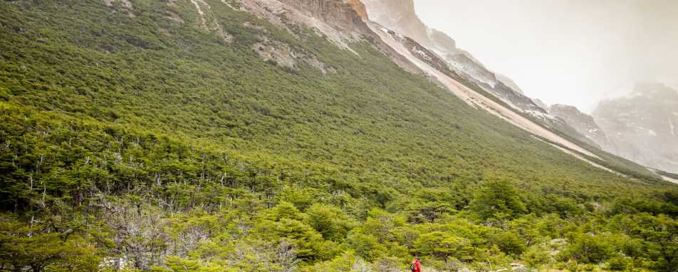 Hiking in Los Huemeles Reserve 