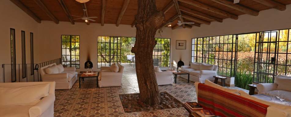 Wine Lounge - Finca Adalgisa