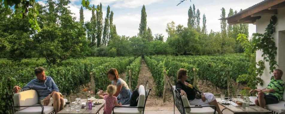 Terrace - Finca Adalgisa 